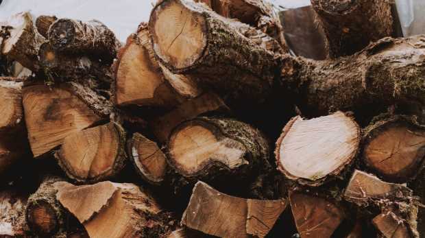 hout voor Prefab houtskeletbouw