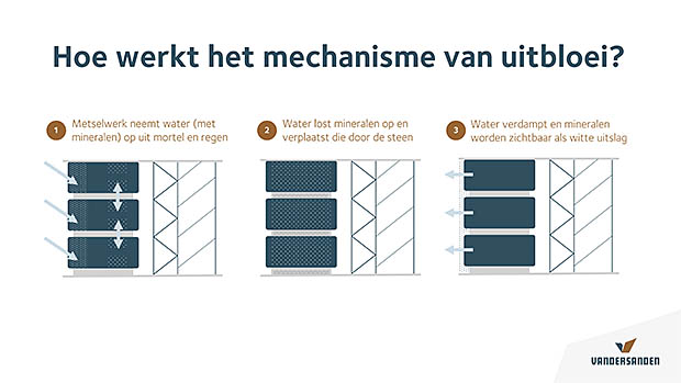 PowerPoint-presentatie | BouwTotaal tekening