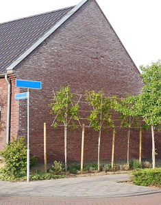 BT.03.21.DakGevel.Vandersanden.6 | BouwTotaal zijgevel
