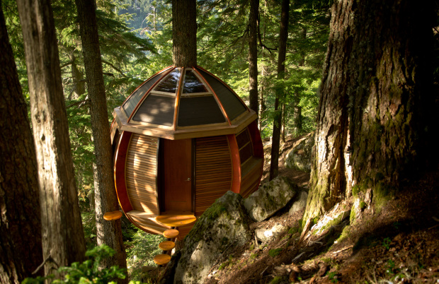 Boomhut