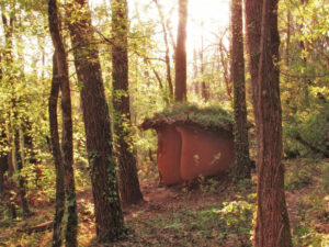 een bij gebouw van een houten hut in het bos