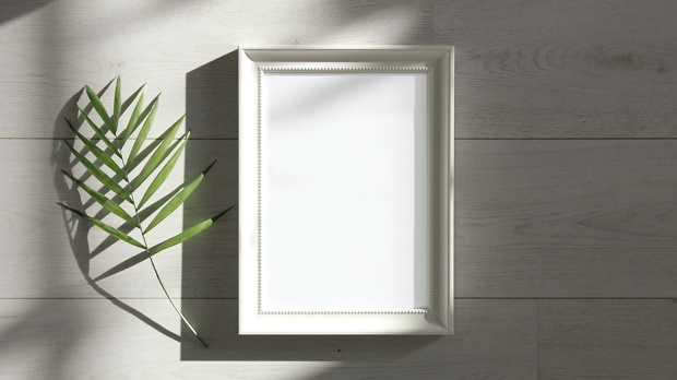 Een groen blad naast een witte fotolijst