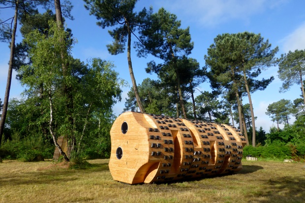Tronc Creux in bossen van Bordeaux. Foto: Bruit du Frigo.