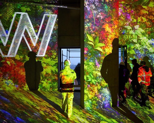 Webbb684f45-8fe8-46f4-8e42-8dbb1b5476e3 | BouwTotaal De lichtprojectie ter ere van het hoogste punt van Wonderwoods