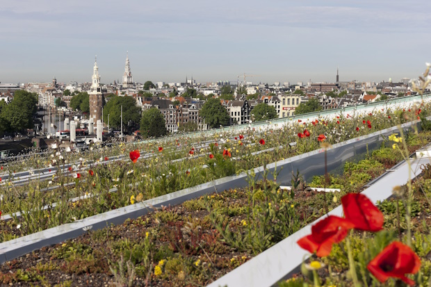 Bloemendak Nemo Amsterdam. 