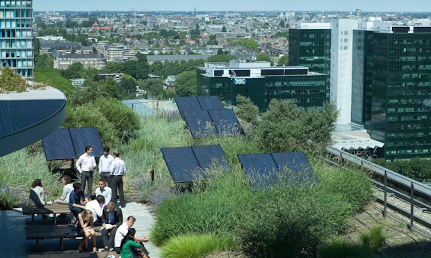 Natuurinclusief dak met zonnepanelen