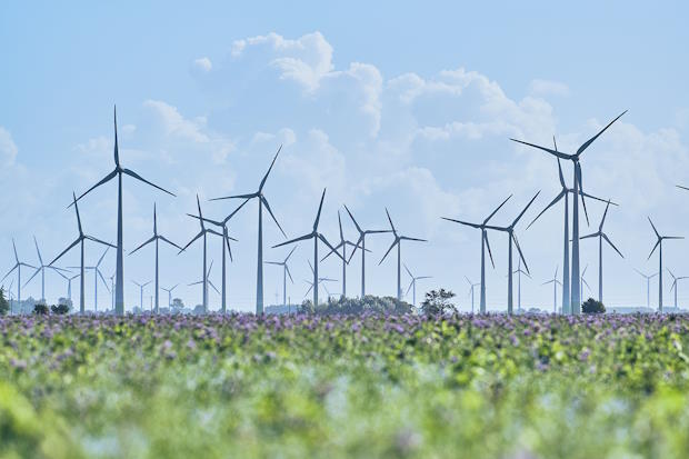 Windturbines in een grasveld