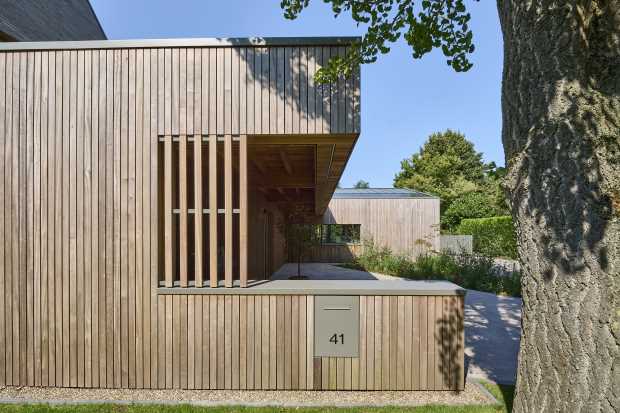 tropisch hout 