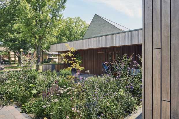 tropisch hout 
